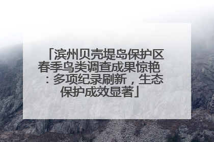 滨州贝壳堤岛保护区春季鸟类调查成果惊艳：多项纪录刷新，生态保护成效显著