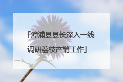 漳浦县县长深入一线调研荔枝产销工作