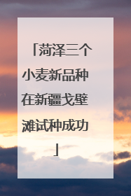 菏泽三个小麦新品种在新疆戈壁滩试种成功