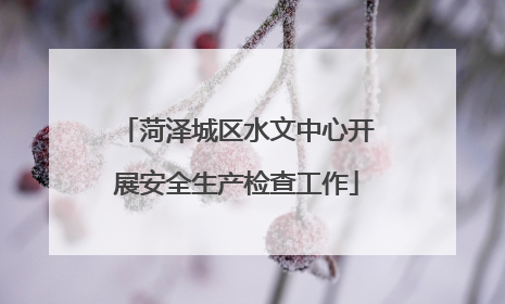 菏泽城区水文中心开展安全生产检查工作
