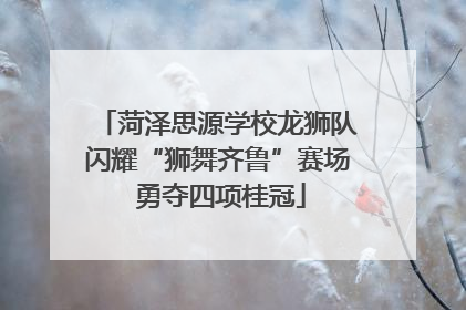 菏泽思源学校龙狮队闪耀“狮舞齐鲁”赛场 勇夺四项桂冠