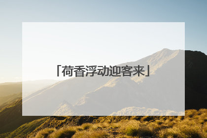 荷香浮动迎客来