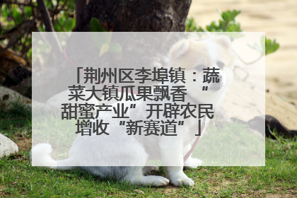 荆州区李埠镇：蔬菜大镇瓜果飘香 “甜蜜产业”开辟农民增收“新赛道”