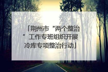 荆州市“两个整治”工作专班组织开展冷库专项整治行动