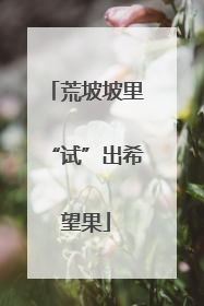 荒坡坡里“试”出希望果