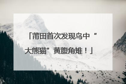 莆田首次发现鸟中“大熊猫”黄腹角雉！