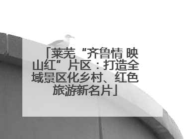 莱芜“齐鲁情 映山红”片区：打造全域景区化乡村、红色旅游新名片