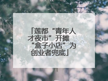 莲都“青年人才夜市”开摊 “盒子小店”为创业者兜底