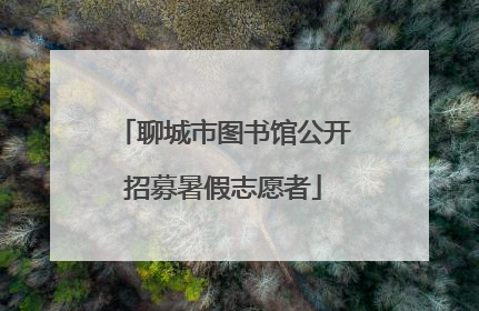 聊城市图书馆公开招募暑假志愿者