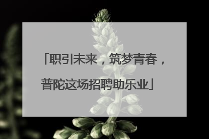 职引未来，筑梦青春，普陀这场招聘助乐业