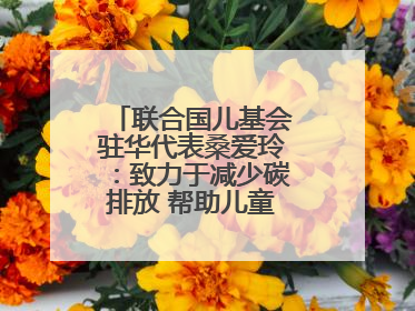 联合国儿基会驻华代表桑爱玲：致力于减少碳排放 帮助儿童适应气候变化