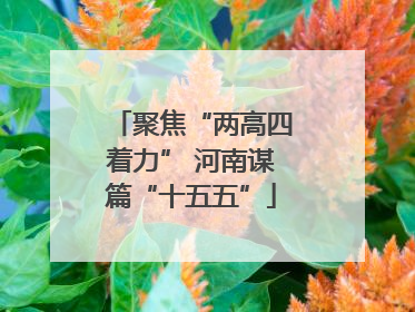 聚焦“两高四着力” 河南谋篇“十五五”