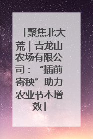 聚焦北大荒｜青龙山农场有限公司：“插前寄秧”助力农业节本增效