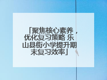 聚焦核心素养，优化复习策略 乐山县街小学提升期末复习效率