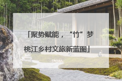 聚势赋能，“竹”梦桃江乡村文旅新蓝图