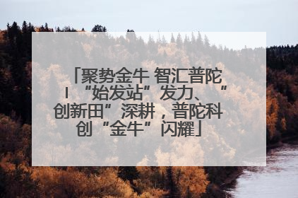 聚势金牛 智汇普陀〡“始发站”发力、“创新田”深耕，普陀科创“金牛”闪耀