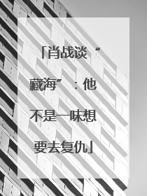 肖战谈“藏海”：他不是一味想要去复仇
