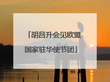 胡昌升会见欧盟国家驻华使节团