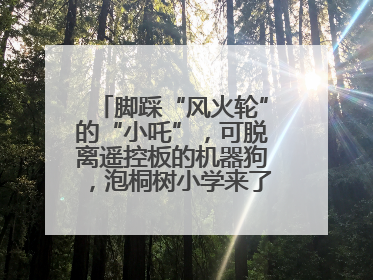 脚踩“风火轮”的“小吒”，可脱离遥控板的机器狗，泡桐树小学来了新朋友！