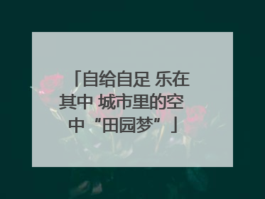 自给自足 乐在其中 城市里的空中“田园梦”