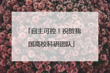 自主可控！祝贺我国高校科研团队