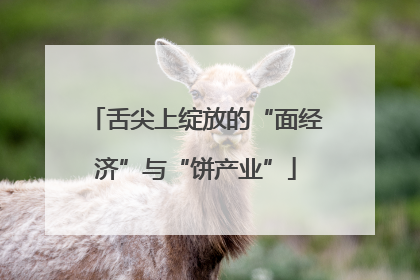 舌尖上绽放的“面经济”与“饼产业”