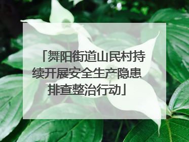 舞阳街道山民村持续开展安全生产隐患排查整治行动