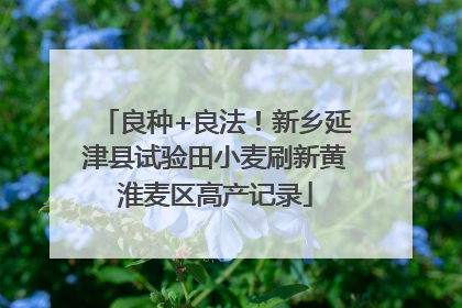 良种+良法！新乡延津县试验田小麦刷新黄淮麦区高产记录