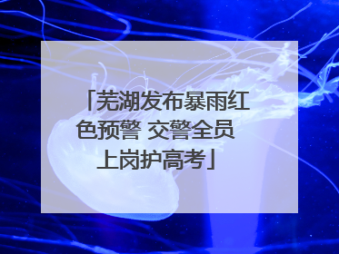 芜湖发布暴雨红色预警 交警全员上岗护高考