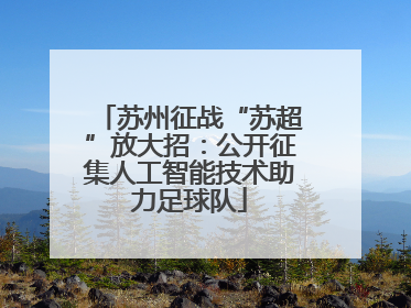 苏州征战“苏超”放大招：公开征集人工智能技术助力足球队