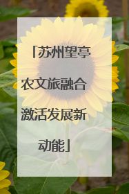 苏州望亭农文旅融合激活发展新动能