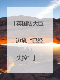 英国防大臣：边境“已经失控”