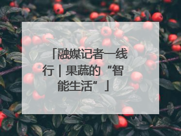 融媒记者一线行｜果蔬的“智能生活”