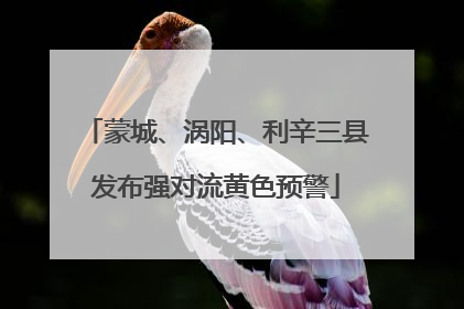 蒙城、涡阳、利辛三县发布强对流黄色预警
