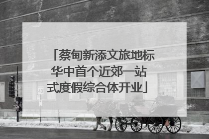蔡甸新添文旅地标 华中首个近郊一站式度假综合体开业