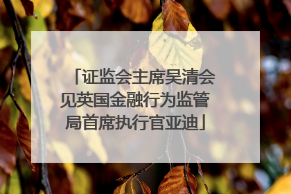 证监会主席吴清会见英国金融行为监管局首席执行官亚迪