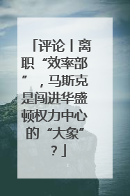 评论丨离职“效率部”，马斯克是闯进华盛顿权力中心的“大象”？