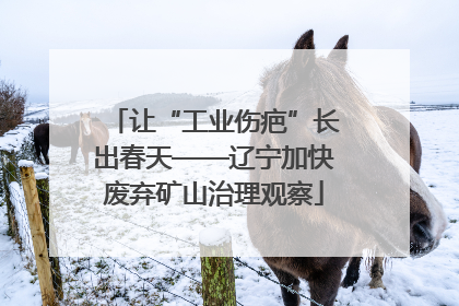 让“工业伤疤”长出春天——辽宁加快废弃矿山治理观察