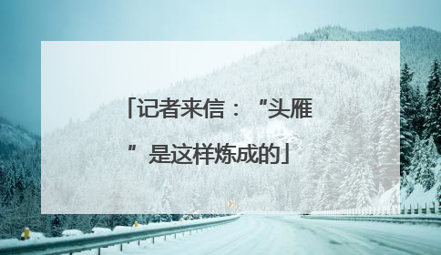 记者来信：“头雁”是这样炼成的