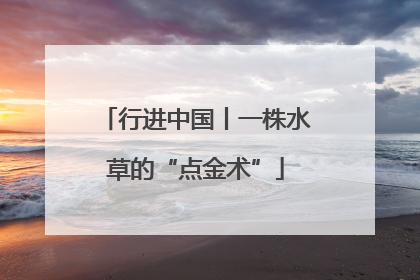行进中国丨一株水草的“点金术”