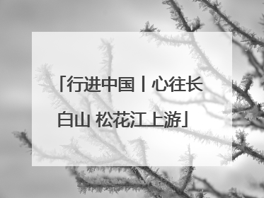 行进中国丨心往长白山 松花江上游