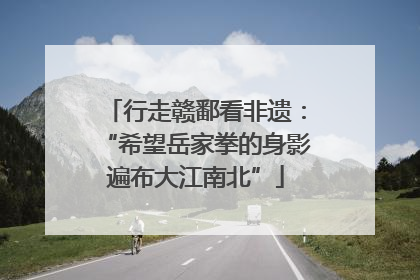 行走赣鄱看非遗：“希望岳家拳的身影遍布大江南北”