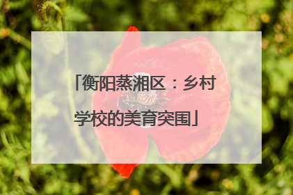 衡阳蒸湘区：乡村学校的美育突围