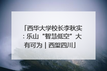 西华大学校长李秋实：乐山“智慧低空”大有可为｜西望四川