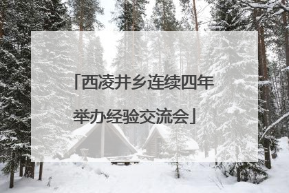 西凌井乡连续四年举办经验交流会