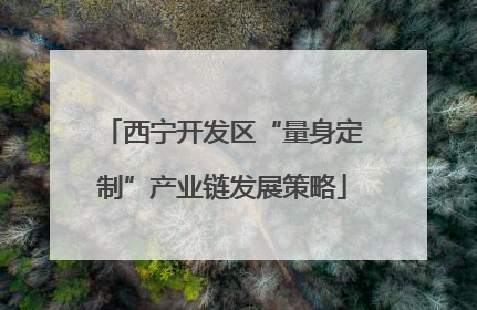 西宁开发区“量身定制”产业链发展策略