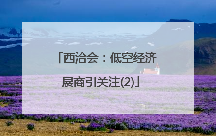 西洽会：低空经济展商引关注(2)