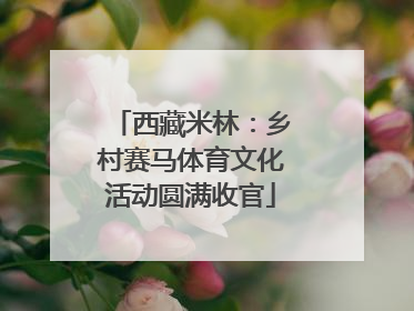 西藏米林：乡村赛马体育文化活动圆满收官