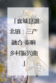 襄城县湛北镇：三产融合 奏响乡村振兴曲