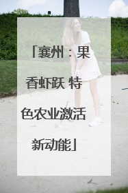襄州：果香虾跃 特色农业激活新动能